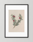 Vintage Red Berry Botanical Art Print