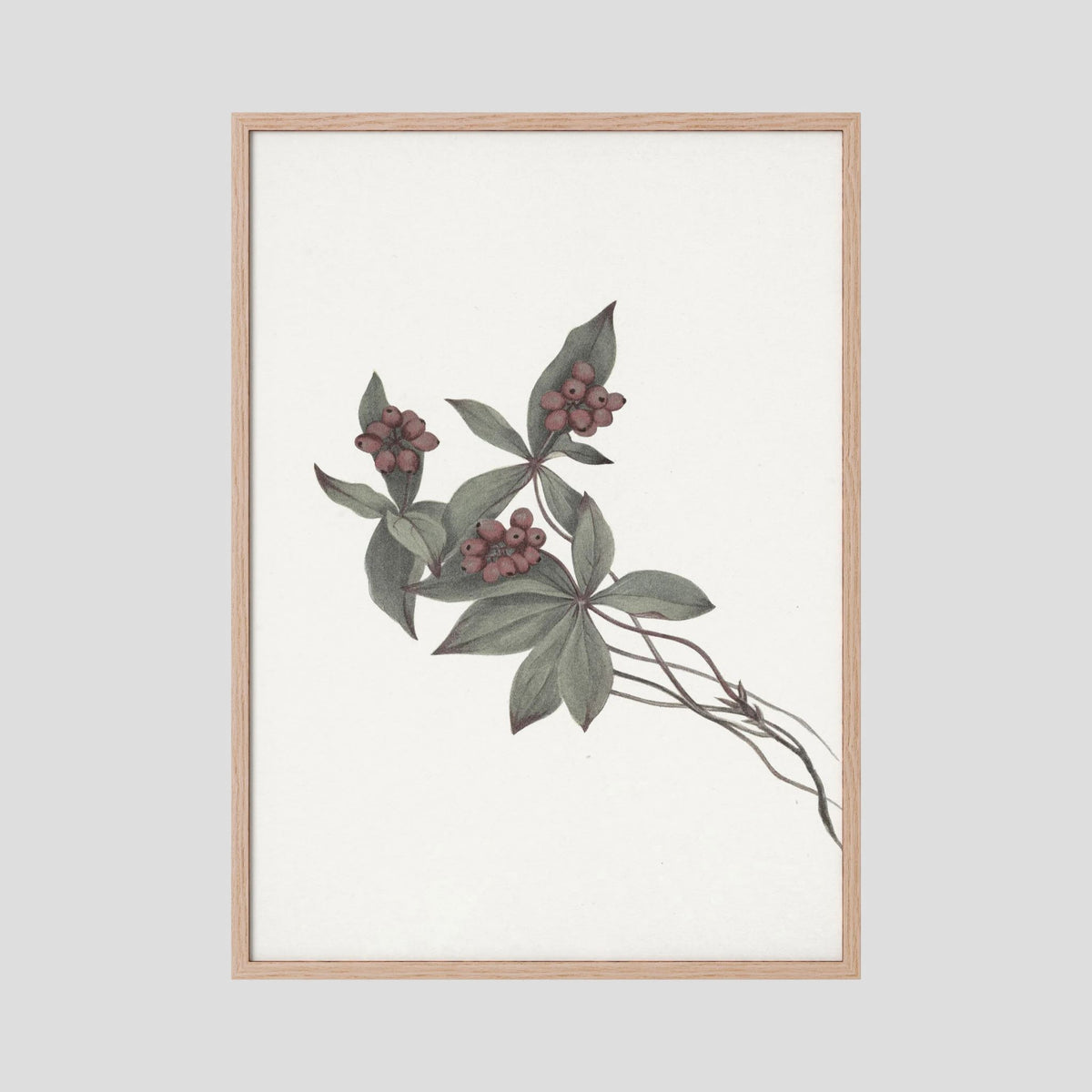 Pink Botanical Branch Study Vintage Wall Art Print Oak Nature No border