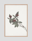 Pink Botanical Branch Study Vintage Wall Art Print Oak Nature No border