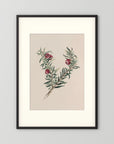 Vintage Red Berry Botanical Art Print