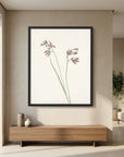 Pink Wildflower Botanical Study Vintage Wall Art Print