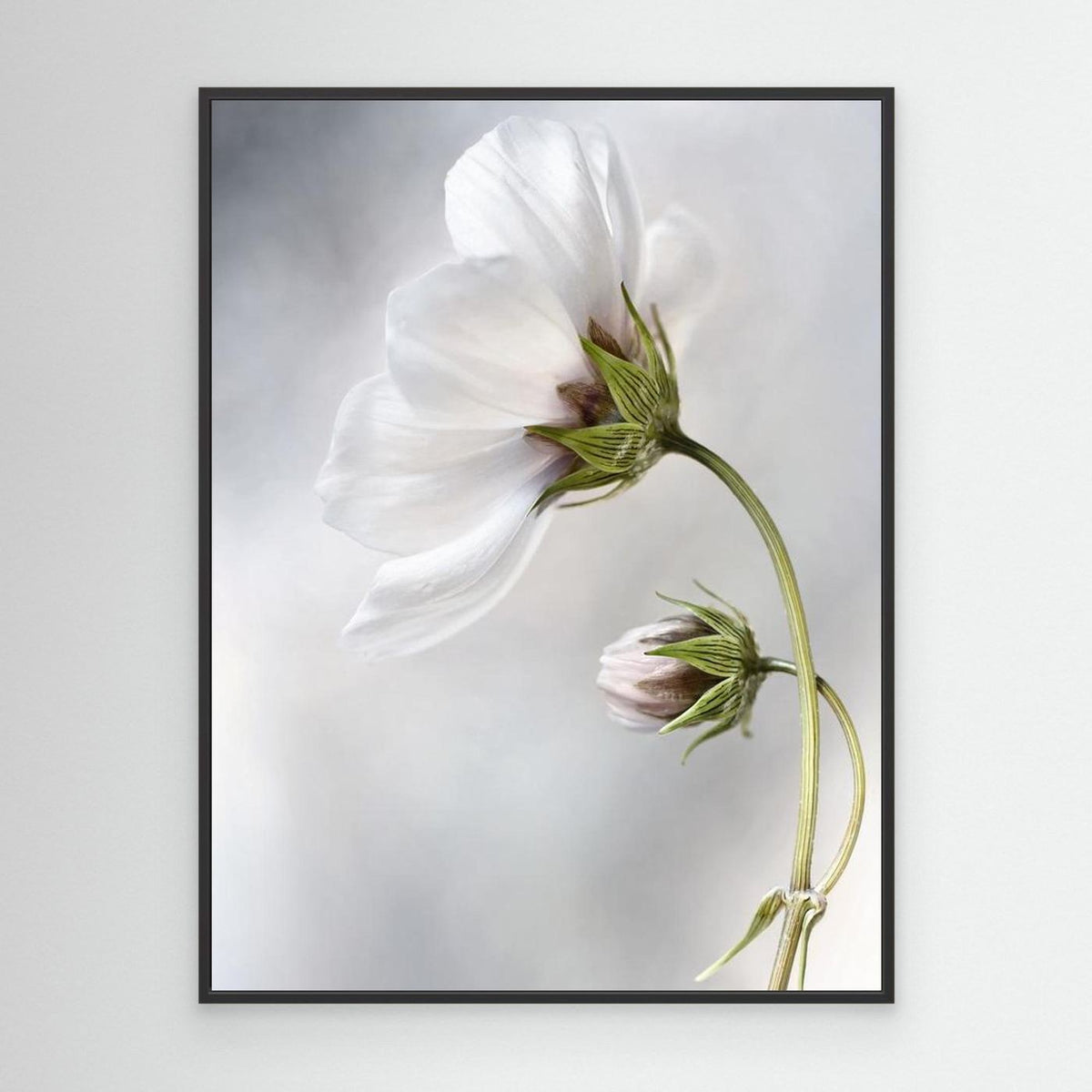 Heavenly Cosmos by Mandy Disher