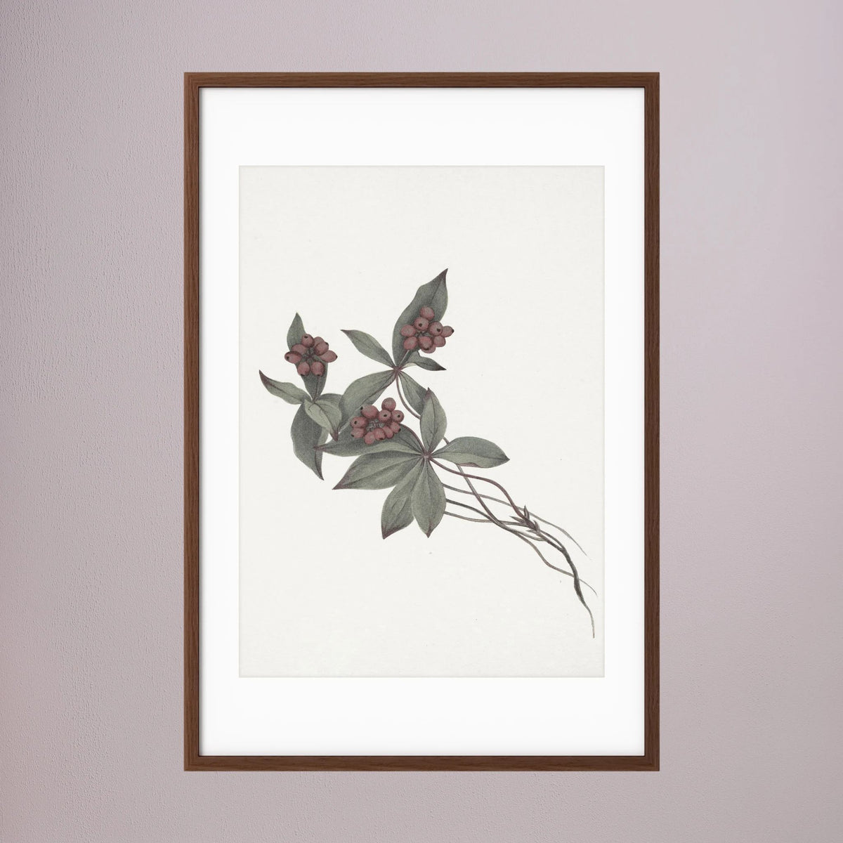 Pink Botanical Branch Study Vintage Wall Art Print Oak Dark White