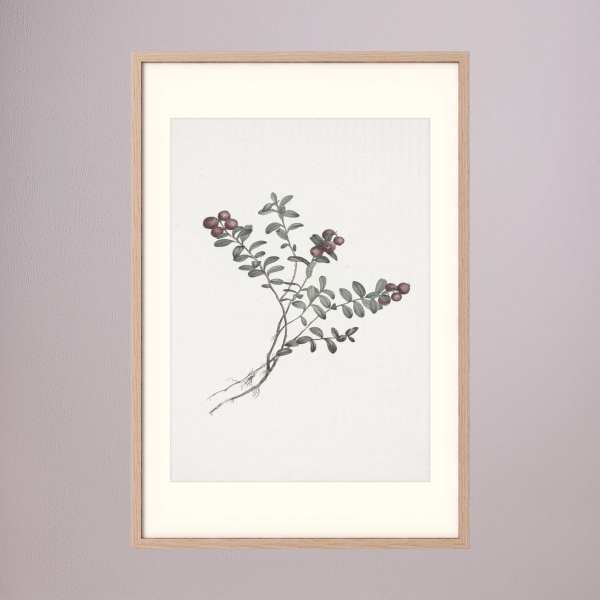 Red Berry Botanical Study Vintage Wall Art Print Oak Nature Freja