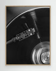 Vinyl_001 by Pictufy Studio Iii