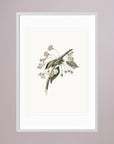 Delicate White Botanical Study Vintage Wall Art Print White Wood White