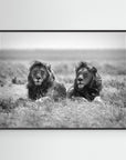 Two kings by Nicolás Merino