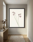 Pink Wildflower Botanical Study Vintage Wall Art Print