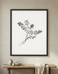 Red Berry Botanical Study Vintage Wall Art Print