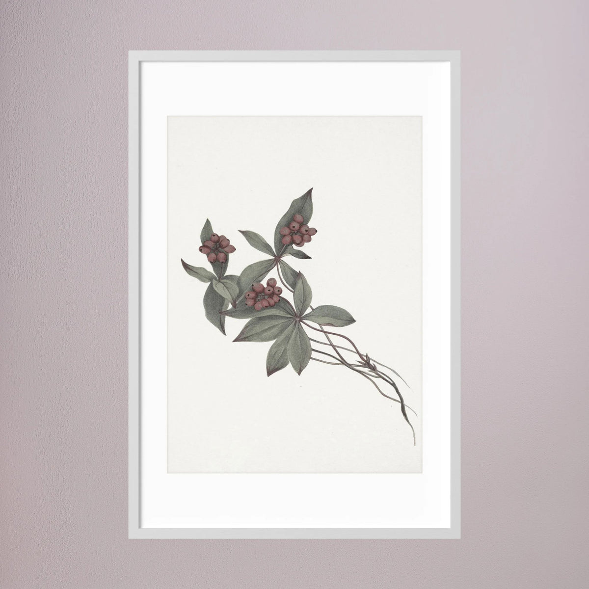 Pink Botanical Branch Study Vintage Wall Art Print White Wood White