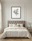 Olive Branch Botanical Study Vintage Wall Art Print