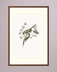 Delicate White Botanical Study Vintage Wall Art Print Oak Dark Freja