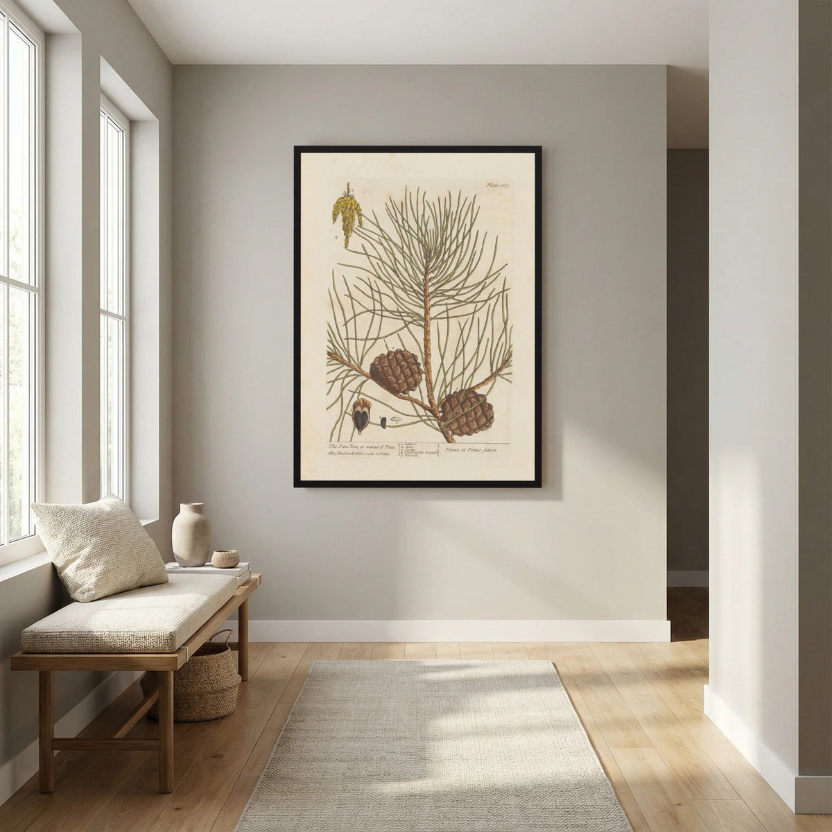 Vintage Pine Cone Botanical Art Print