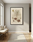 Vintage Pine Cone Botanical Art Print