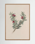 Vintage Red Berry Botanical Art Print