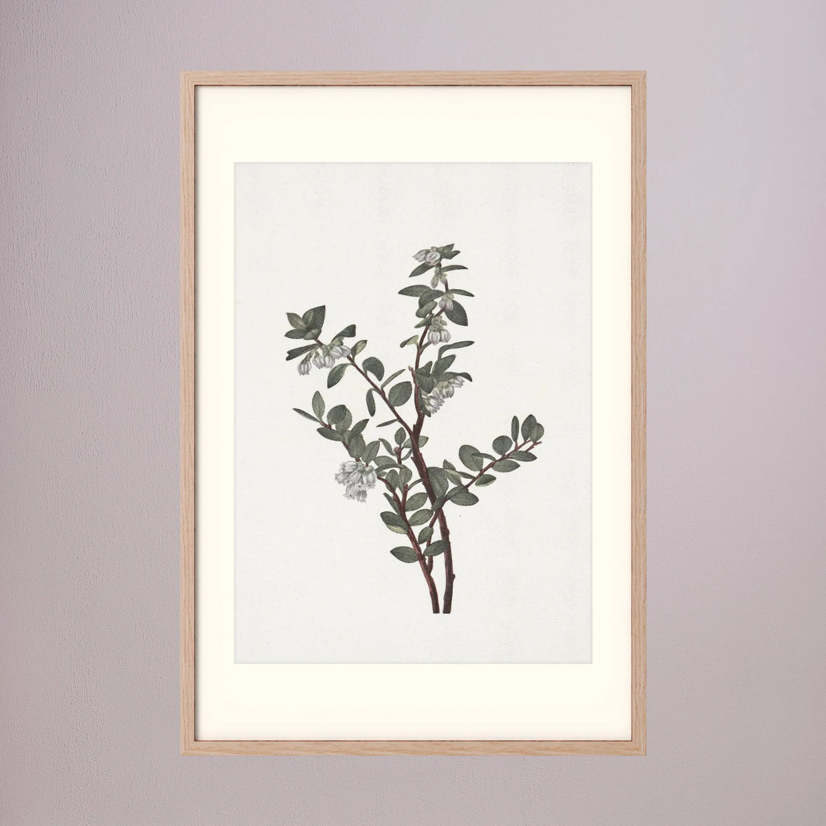 Green Berry Botanical Study Vintage Wall Art Print