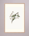 Delicate White Botanical Study Vintage Wall Art Print Oak Nature Freja