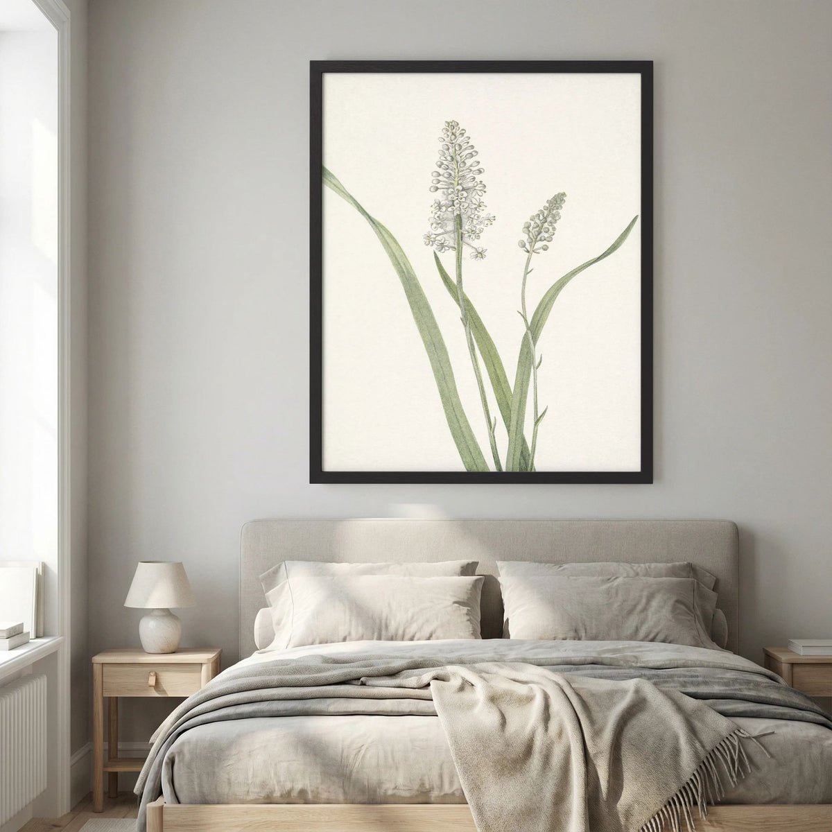 White Hyacinth Botanical Study Vintage Wall Art Print