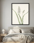 White Hyacinth Botanical Study Vintage Wall Art Print