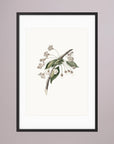 Delicate White Botanical Study Vintage Wall Art Print Black Wood White