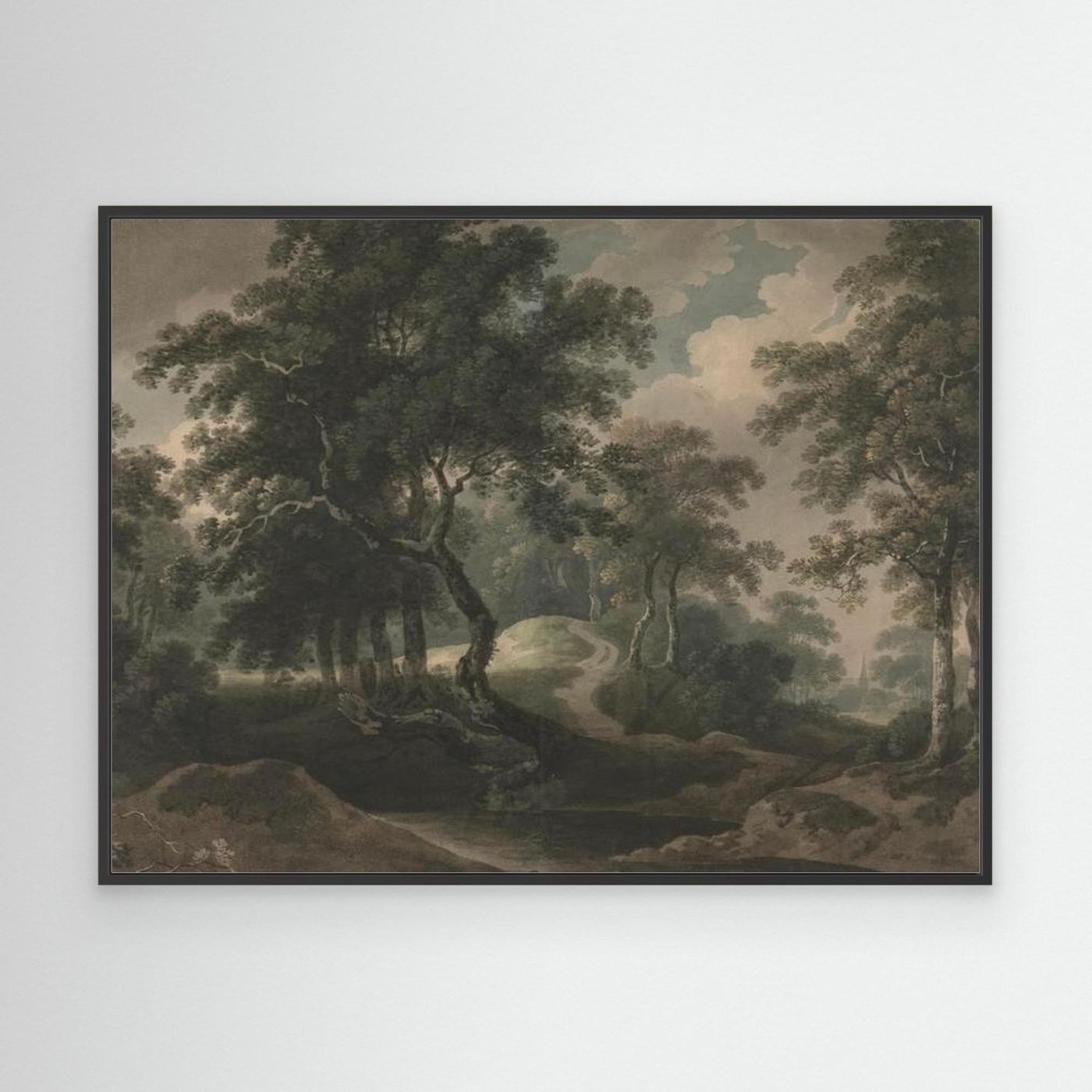 Woodland Trail Canvas Print