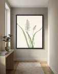 White Hyacinth Botanical Study Vintage Wall Art Print