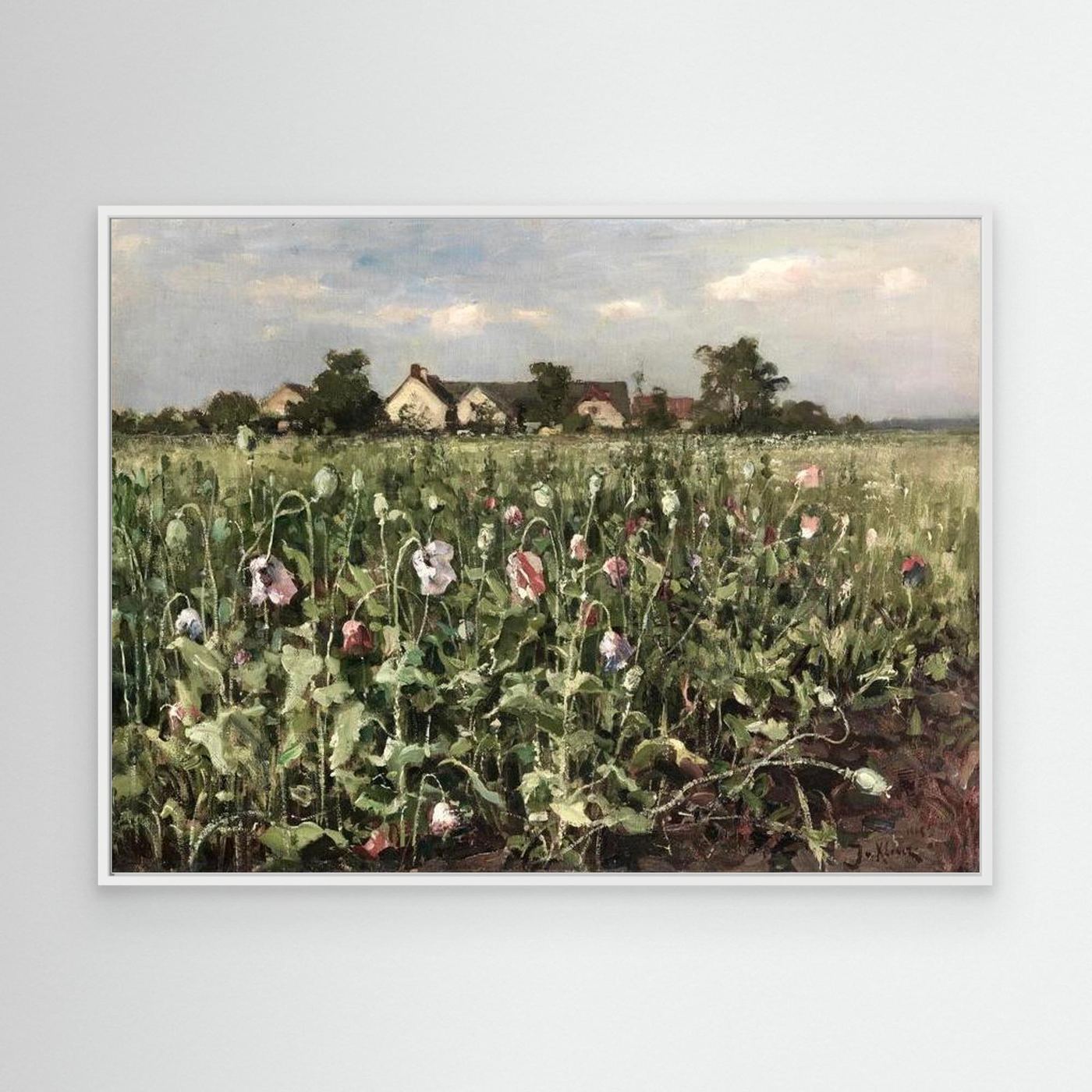Wildflower Field Landscape