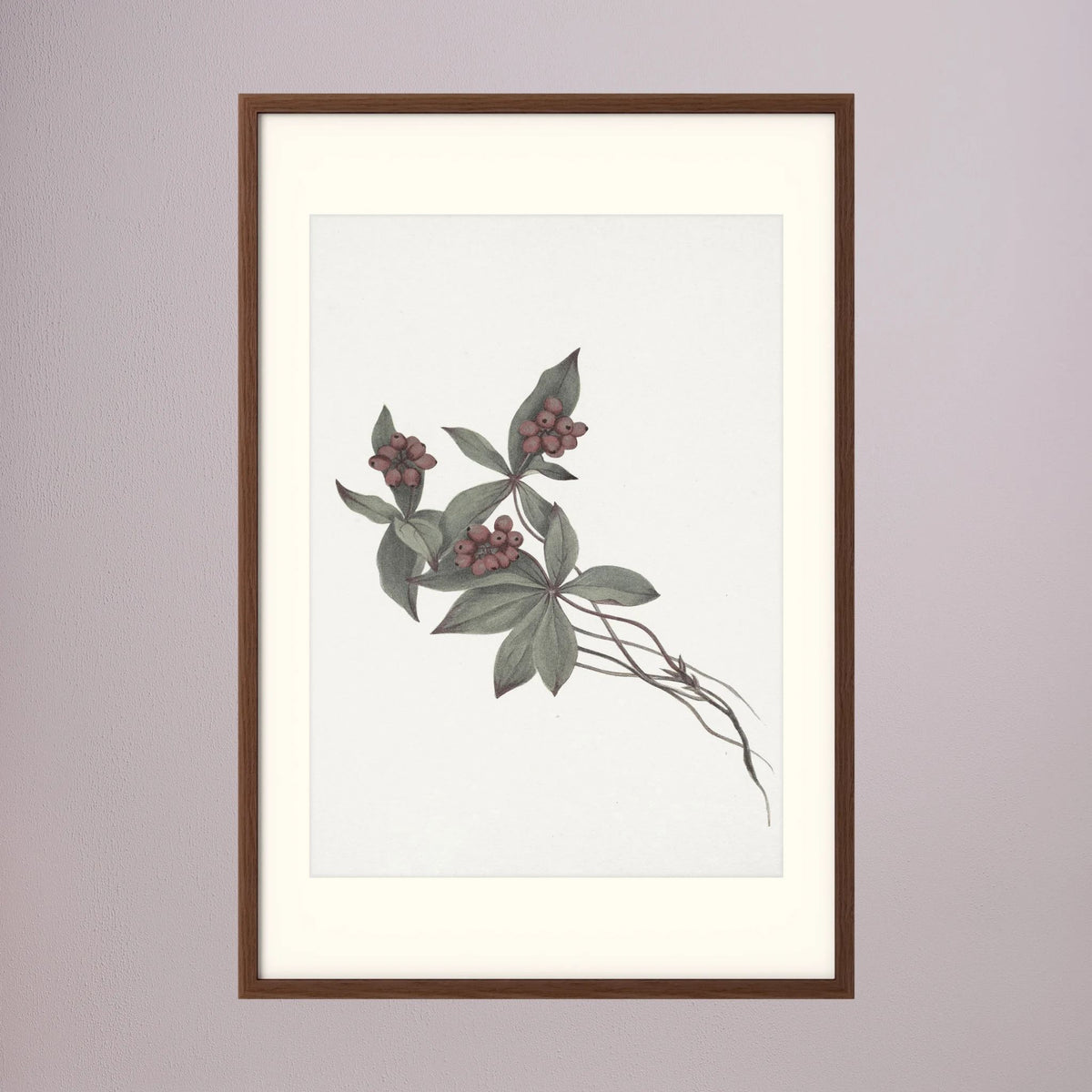 Pink Botanical Branch Study Vintage Wall Art Print Oak Dark Freja