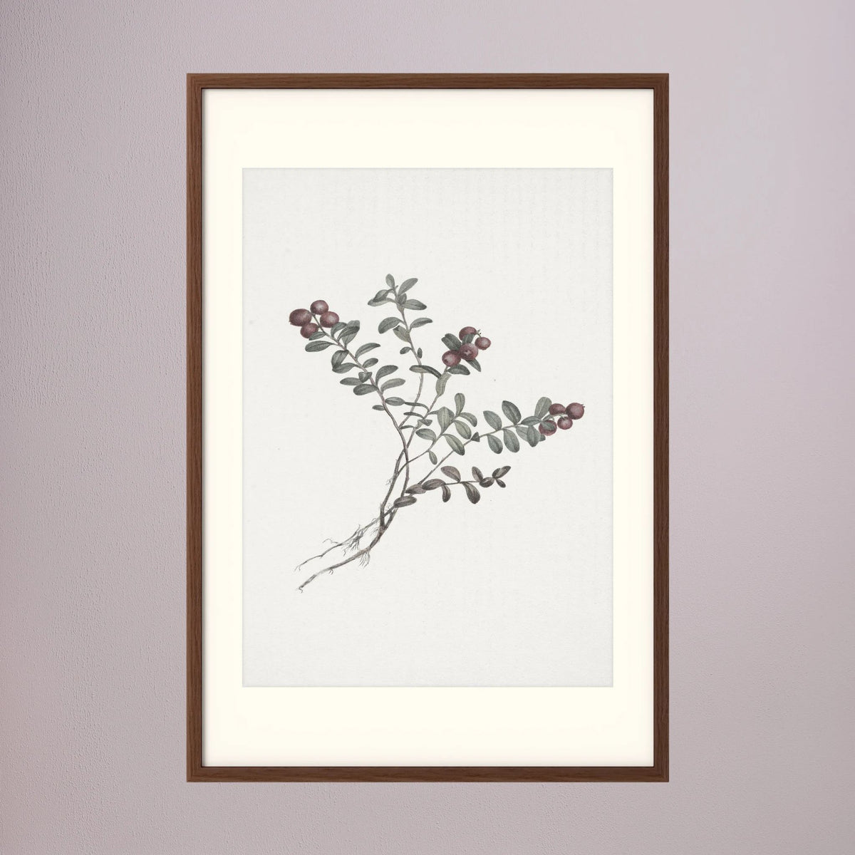 Red Berry Botanical Study Vintage Wall Art Print Oak Dark Freja