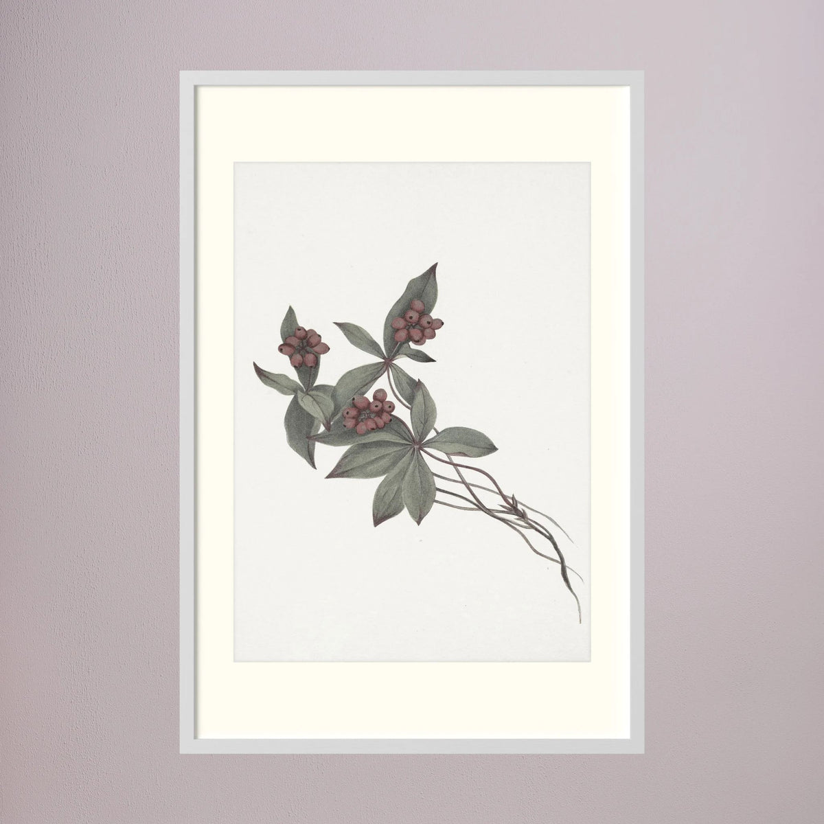 Pink Botanical Branch Study Vintage Wall Art Print White Wood Freja