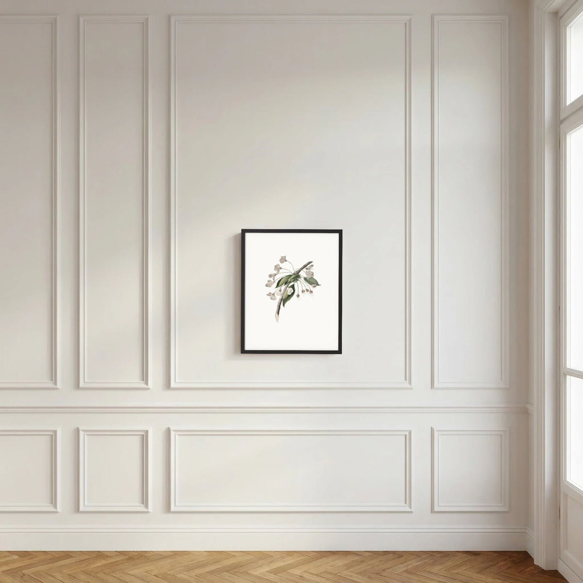 Delicate White Botanical Study Vintage Wall Art Print