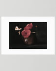 Vintage Red Poppy Still Life Art Print