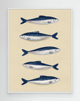Sardines by Emeli Emaria