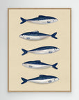Sardines by Emeli Emaria