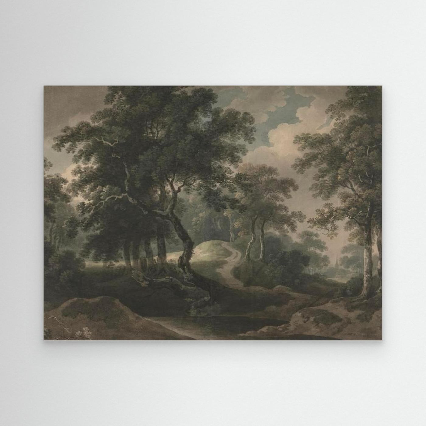 Woodland Trail Canvas Print