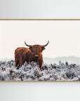 Highlander by Jaap Van Den Helm