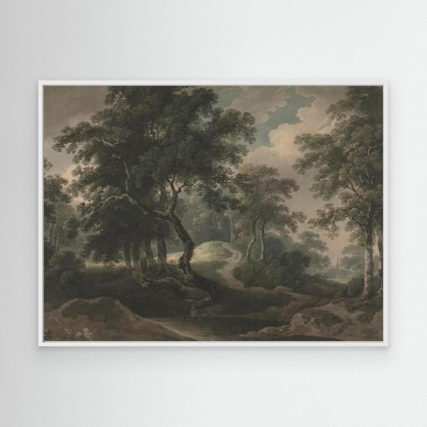 Woodland Trail Canvas Print