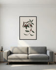 Vintage Cherry Botanical Art Print