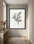 Olive Branch Botanical Study Vintage Wall Art Print