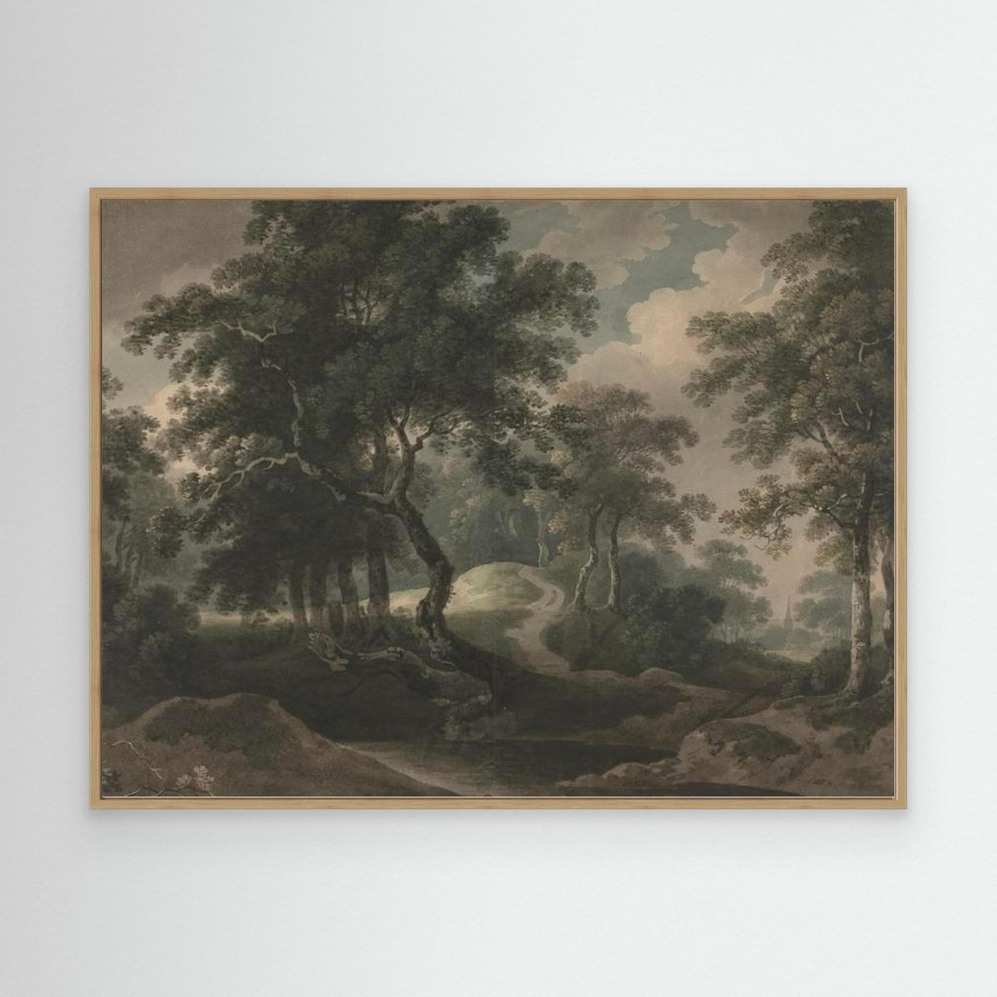 Woodland Trail Canvas Print