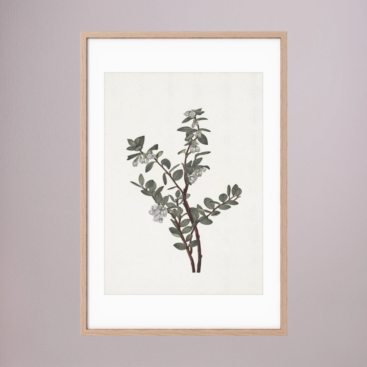 Green Berry Botanical Study Vintage Wall Art Print