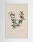 Vintage Red Berry Botanical Art Print