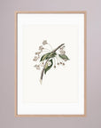Delicate White Botanical Study Vintage Wall Art Print Oak Nature White