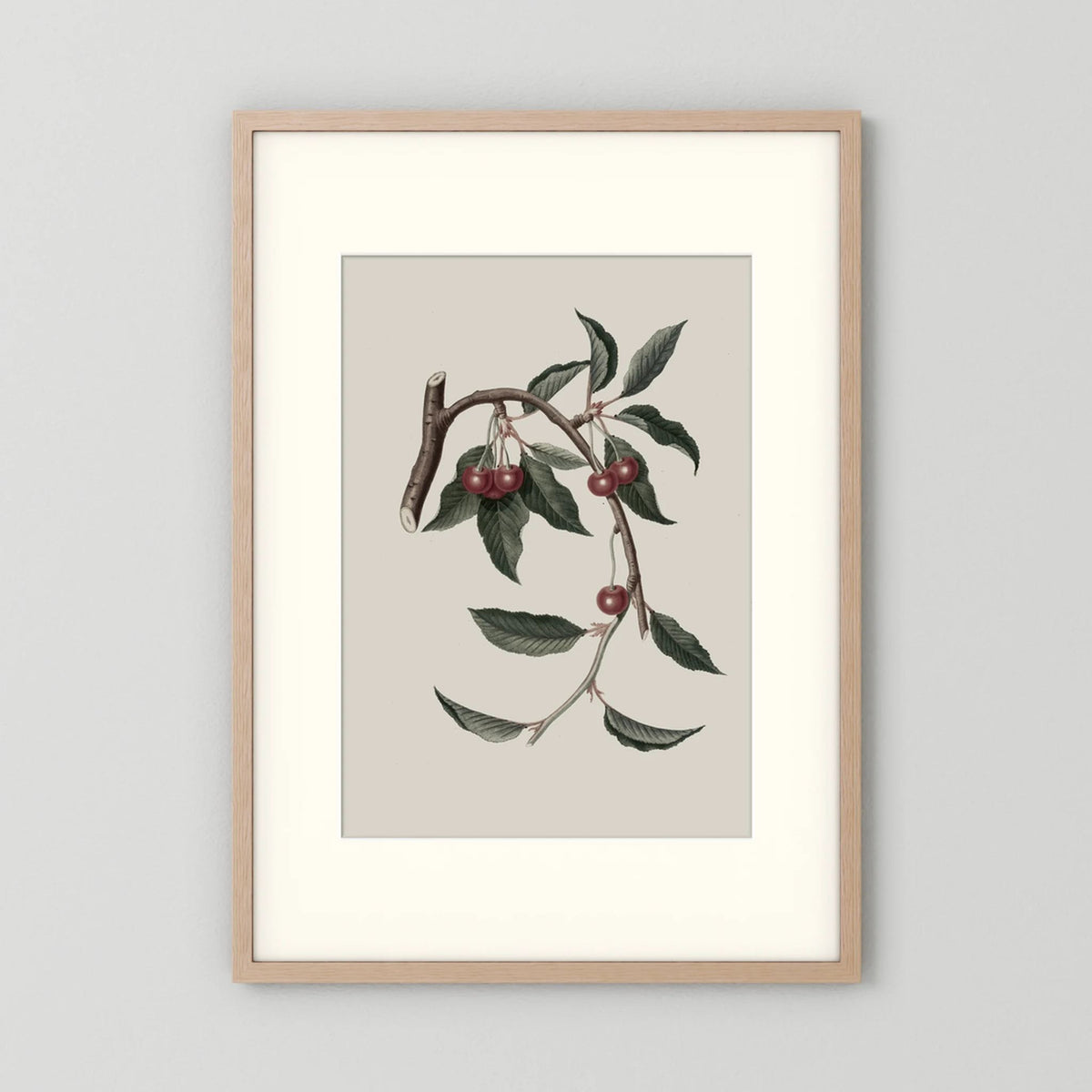 Vintage Cherry Botanical Art Print