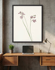 Pink Wildflower Botanical Study Vintage Wall Art Print