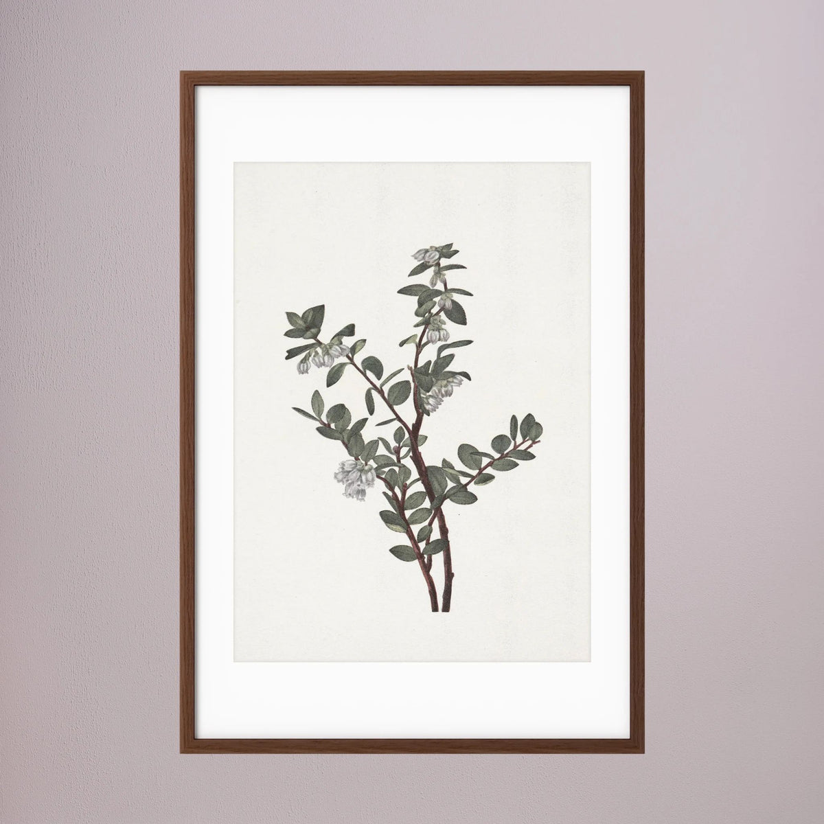 Green Berry Botanical Study Vintage Wall Art Print