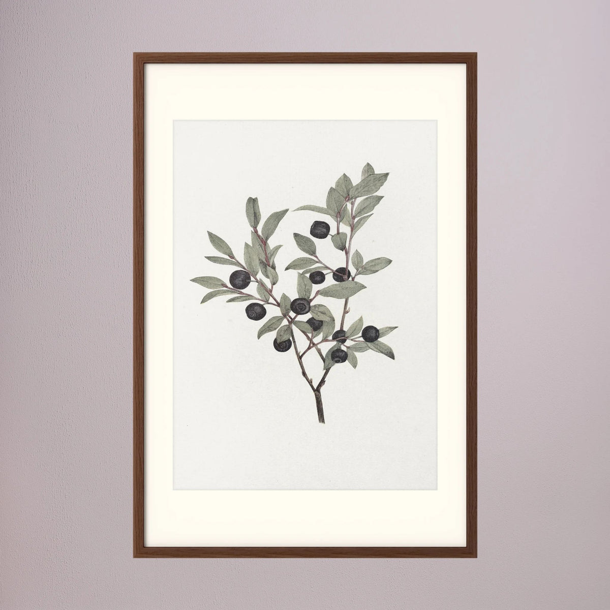 Olive Branch Botanical Study Vintage Wall Art Print Oak Dark Freja