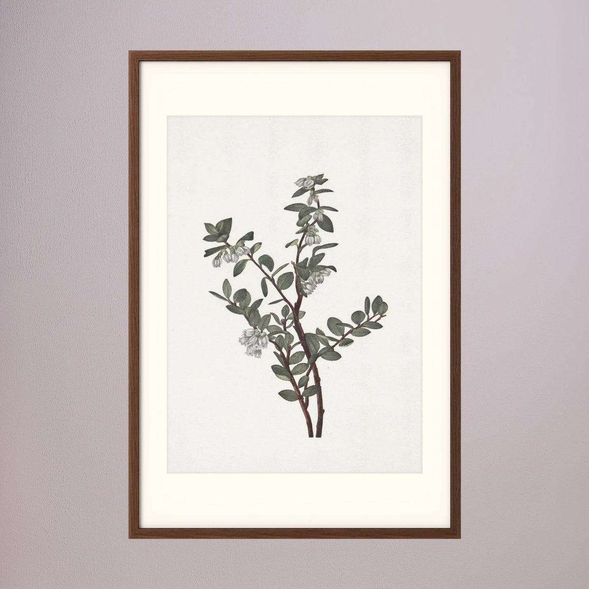 Green Berry Botanical Study Vintage Wall Art Print