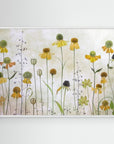 Helenium by Mandy Disher
