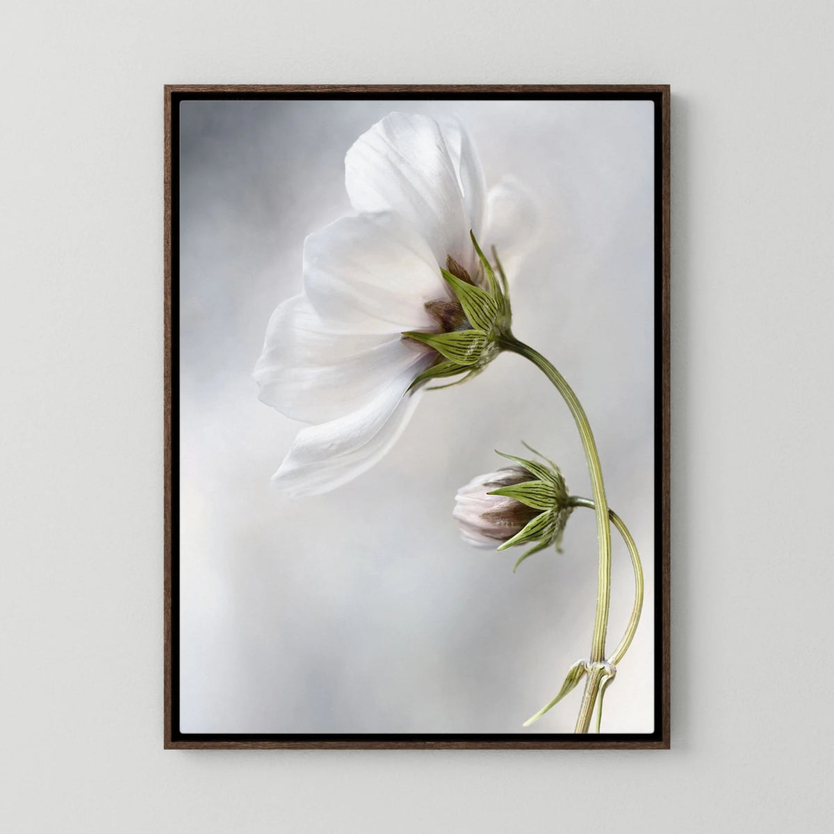 Heavenly Cosmos by Mandy Disher